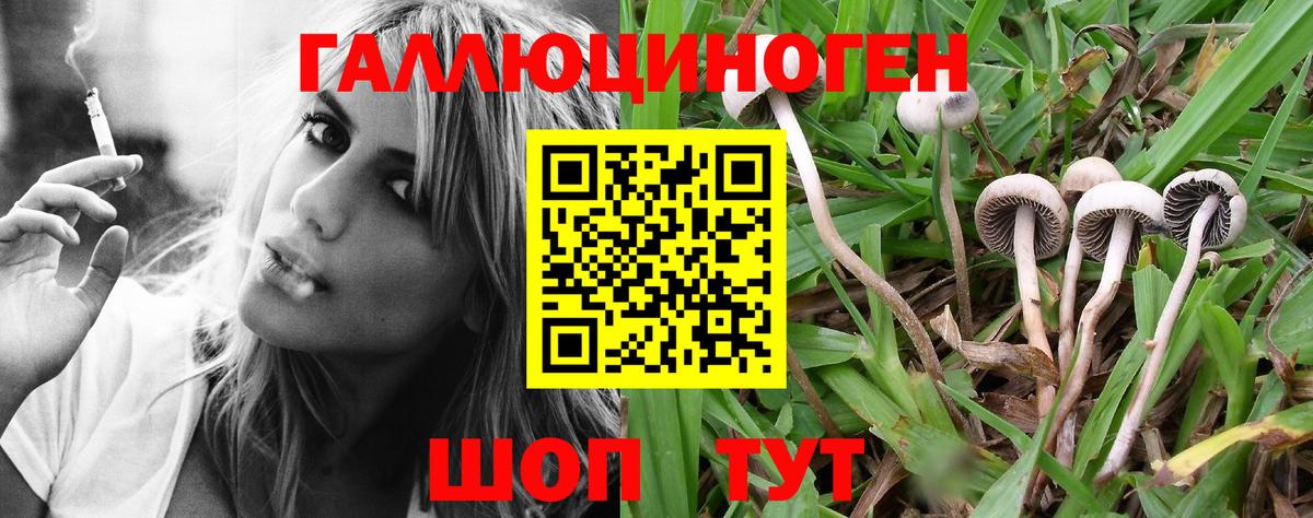 Псилоцибиновые грибы GOLDEN TEACHER  Псилоцибиновые грибы мухоморы  Дубна  Вход с VPN 