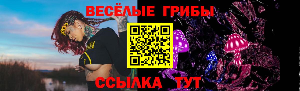 Галлюциногенные грибы мицелий Дубна